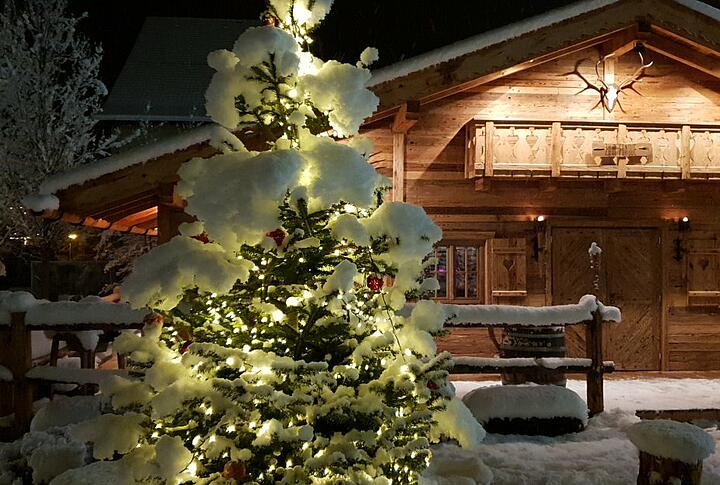 Chalet zum Fondue in Rapperswil