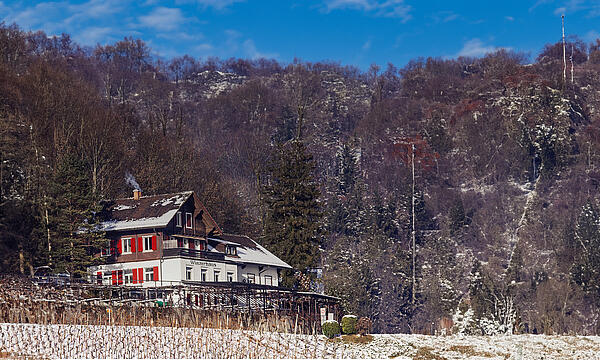 Winzerhaus - Bijou im Rebberg